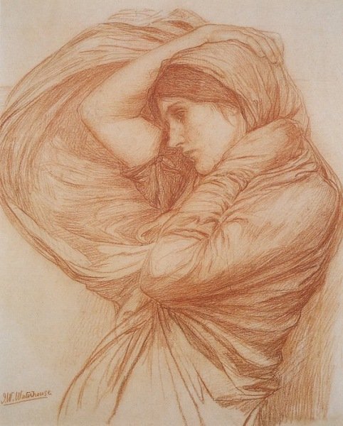 Boreas study  1904