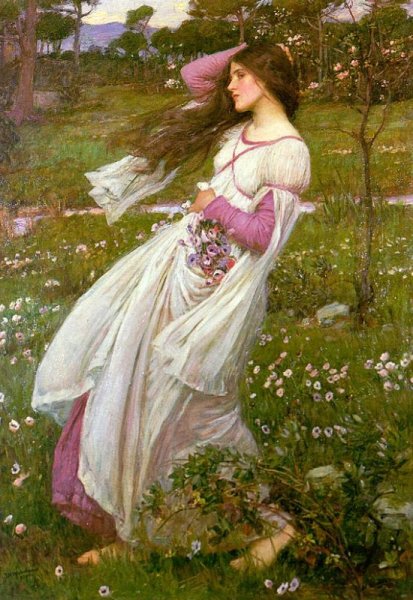 Windflowers  1903